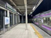 🎫連続7日間使用可能普通列車乗り放題🎫『北海道&東日本パス』