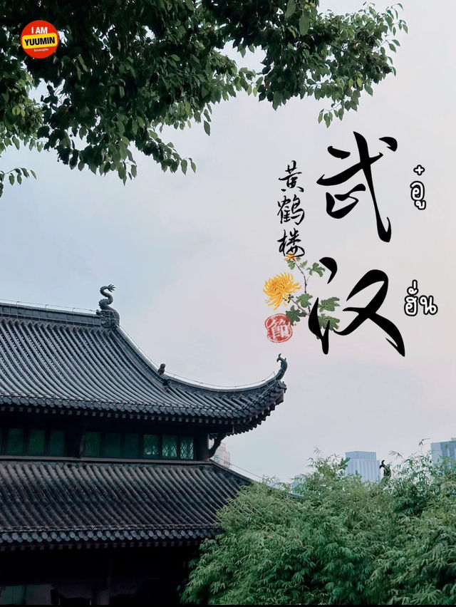 หอนกกระเรียนเหลือง - อู๋ฮั่น🇨🇳