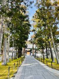 【宮城県】伊達家の菩薩寺　瑞巌寺