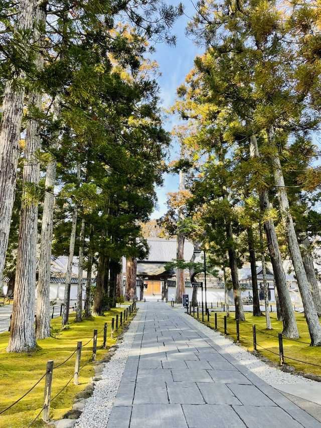 【宮城県】伊達家の菩薩寺　瑞巌寺