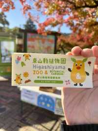 東山動物植物園-紅葉與動物構成和諧，而且美麗的景色