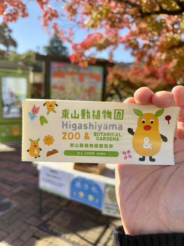 東山動物植物園-紅葉與動物構成和諧，而且美麗的景色