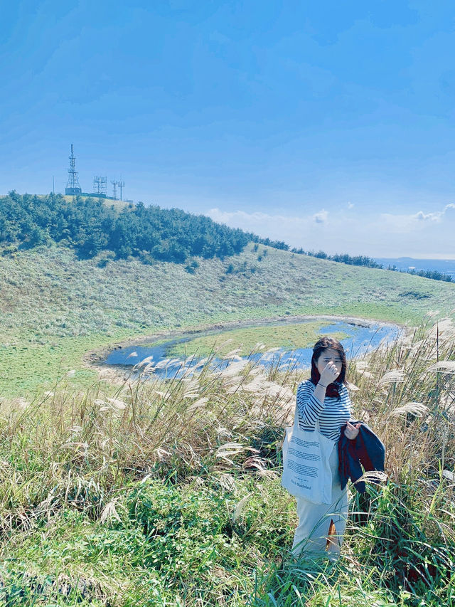 즐거운 제주도 오름 오르기🇰🇷