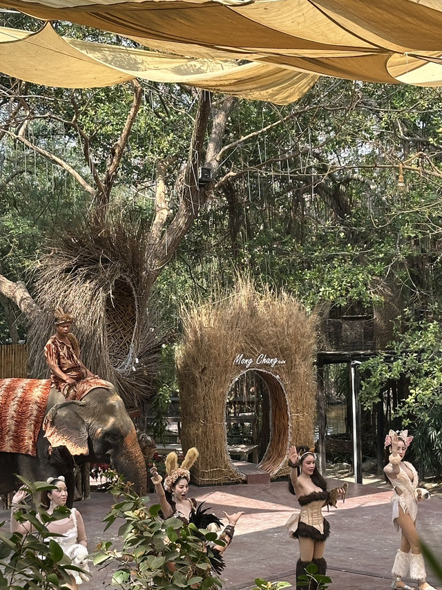 Pattaya （親子旅遊適用）🇹🇭 MongChang Cafe🐘
