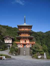 【和歌山】日本三大名瀑✨マイナスイオンを浴び、滝と五重塔のセット見に行こう📸