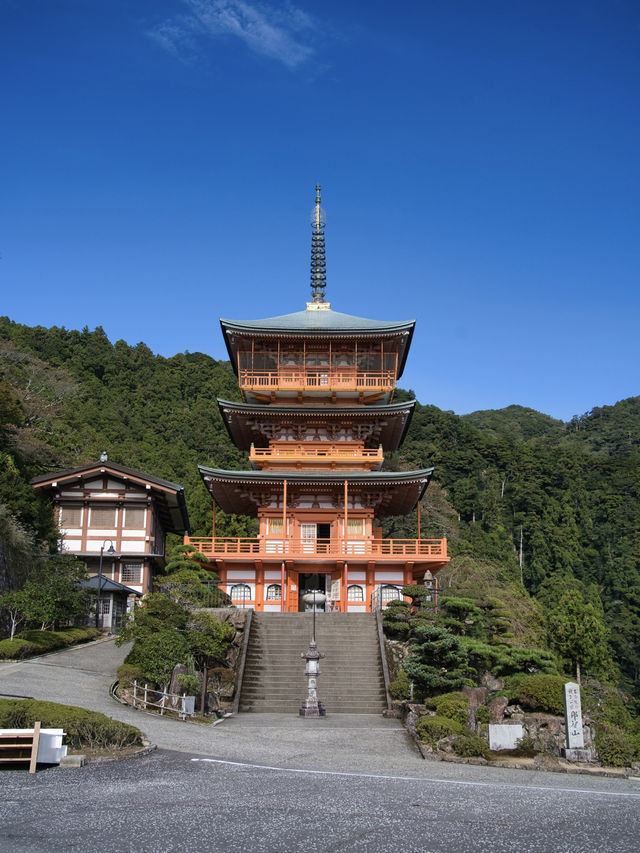 【和歌山】日本三大名瀑✨マイナスイオンを浴び、滝と五重塔のセット見に行こう📸