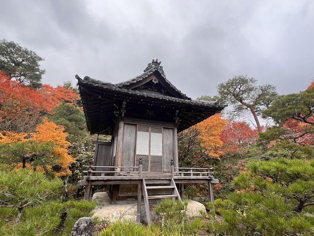 A Symphony of Colors — The Okochi Sanso Villa in Arashiyama
