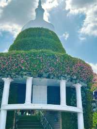 An awesome day spent at Dubai miracle garden 🪴 