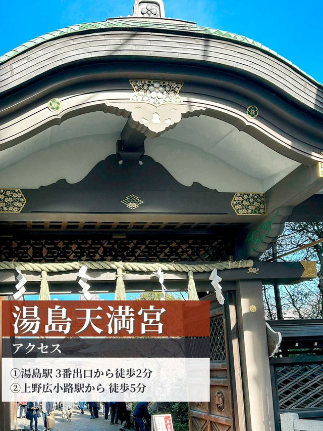 【梅が咲いたら春の予感】湯島天神 梅まつりの楽しみ方
