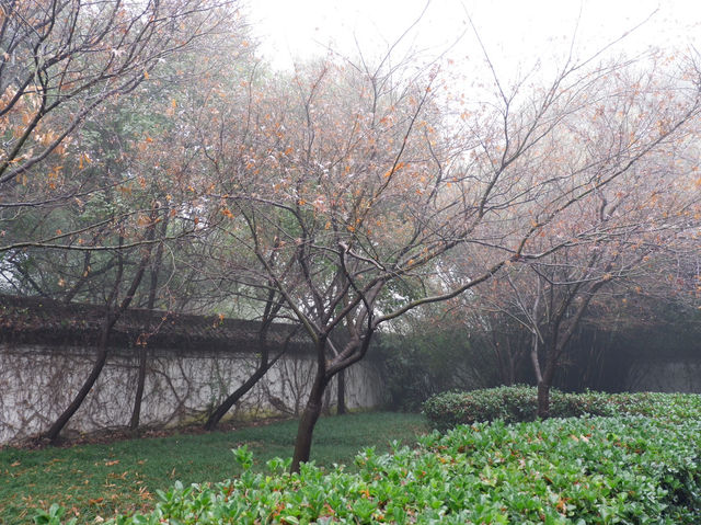 ใบไม้เปลี่ยนสีที่ 柯岩风景区