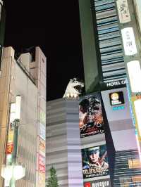 Shinjuku Nights: Neon Lights & Hidden Delights