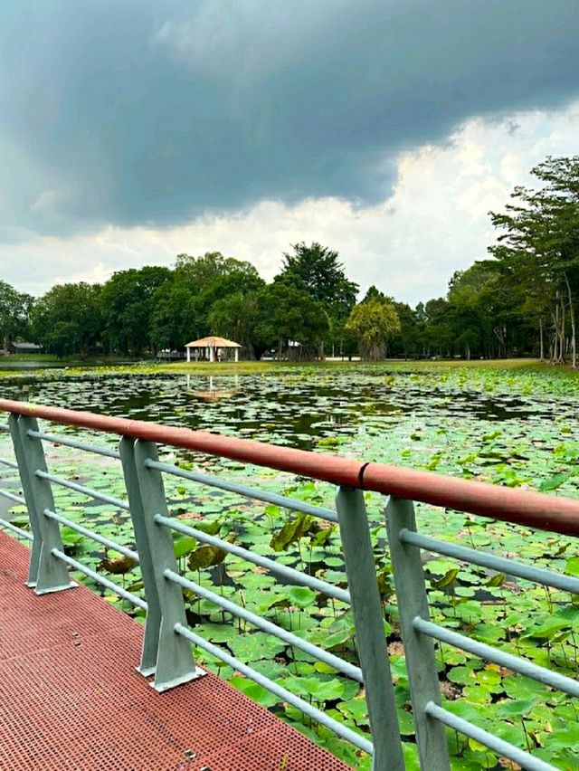 HIDDEN GEM IN CYBERJAYA.