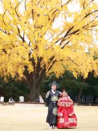 Hanbok Travel Guide for Gyeongbokgung Palace