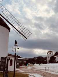 Jeju Winter Wonderland: A Nostalgic Trip to Eco Land Theme Park