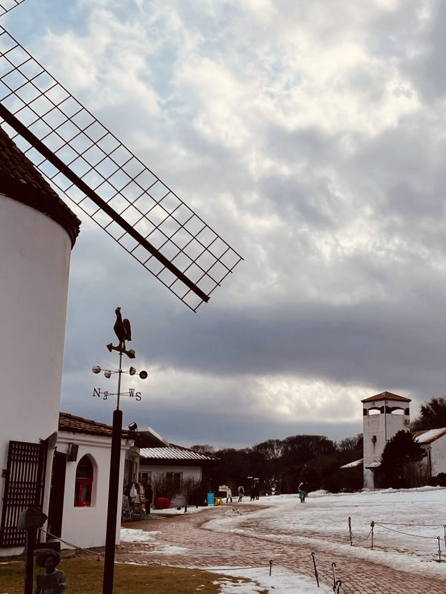 Jeju Winter Wonderland: A Nostalgic Trip to Eco Land Theme Park