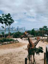 Discovering the highlights of Sydney: The Opera House and Taronga Zoo