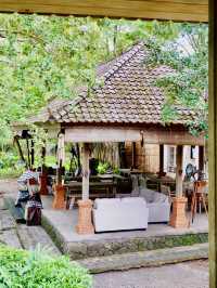 World Top Safari Stay In Bali 🦍✨