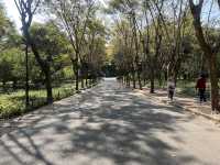 Urban Oasis in Shenzhen — The Lianhuashan Park