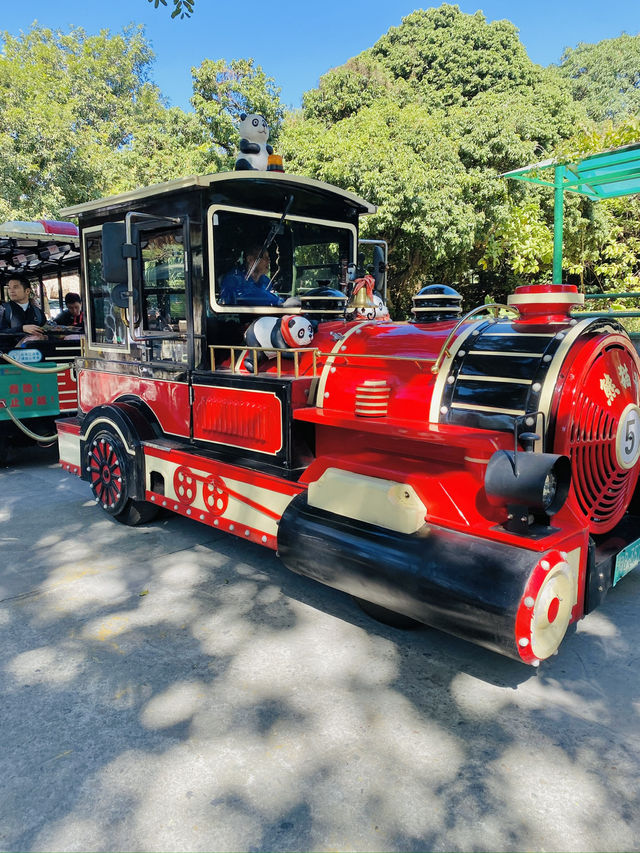 深圳野生動物園 深圳地鐵直達～零距離餵長頸鹿斑馬！ 