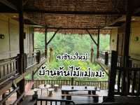 🌿 บ้านต้นไม้แม่แมะ จ.เชียงใหม่ 🌿