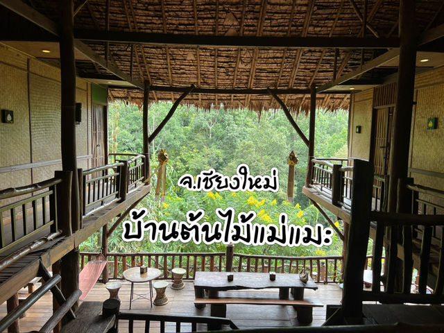 🌿 บ้านต้นไม้แม่แมะ จ.เชียงใหม่ 🌿