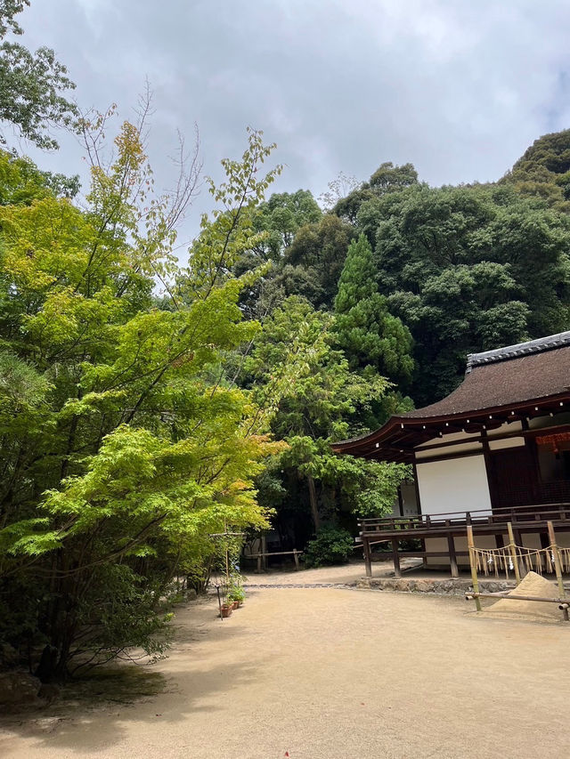 悠閒的歷史與茶香之旅（下）