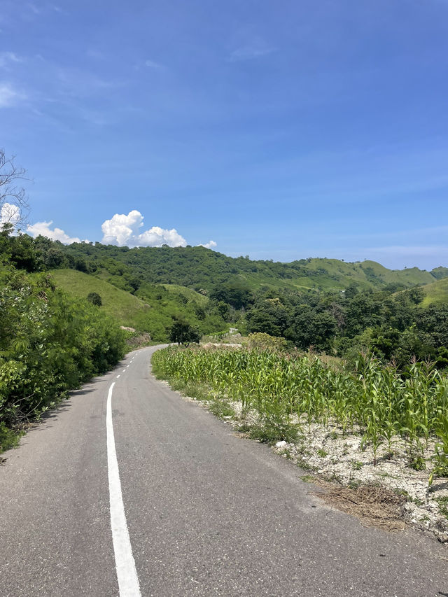 Driving Through Reo’s Countryside: A Glimpse into Rural Life 🌾🚜 