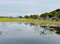 后里環保公園：放空遛小孩好去處