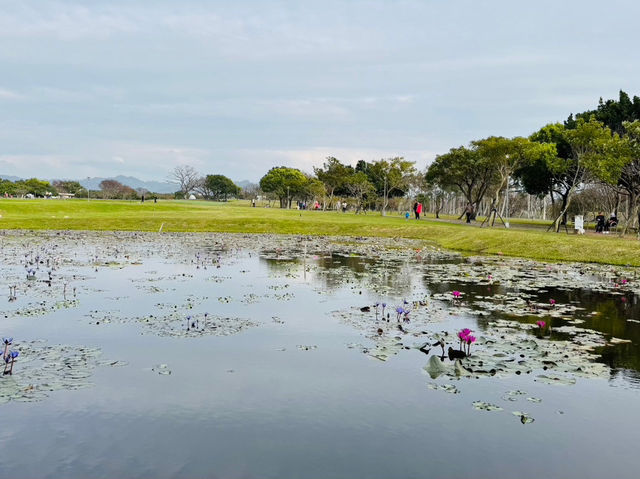 后里環保公園：放空遛小孩好去處
