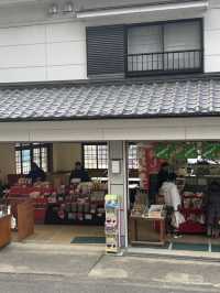 南部（みなべ）梅林へ今年初めての梅を見に❤️