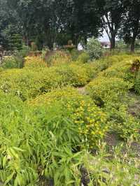 Seminari Sinar Buana: A Bright Yellow Church with a Serene Garden