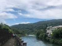 坪林一日輕鬆遊