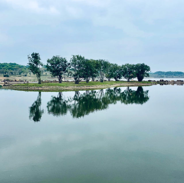 桃花濕地公園 | 水景秀麗