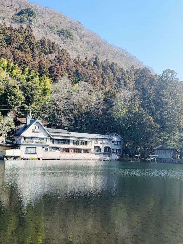 📍大分 - 金鱗湖