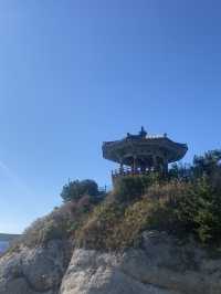 겨울바다는 못참지 ! 속초 힐링여행 🌊