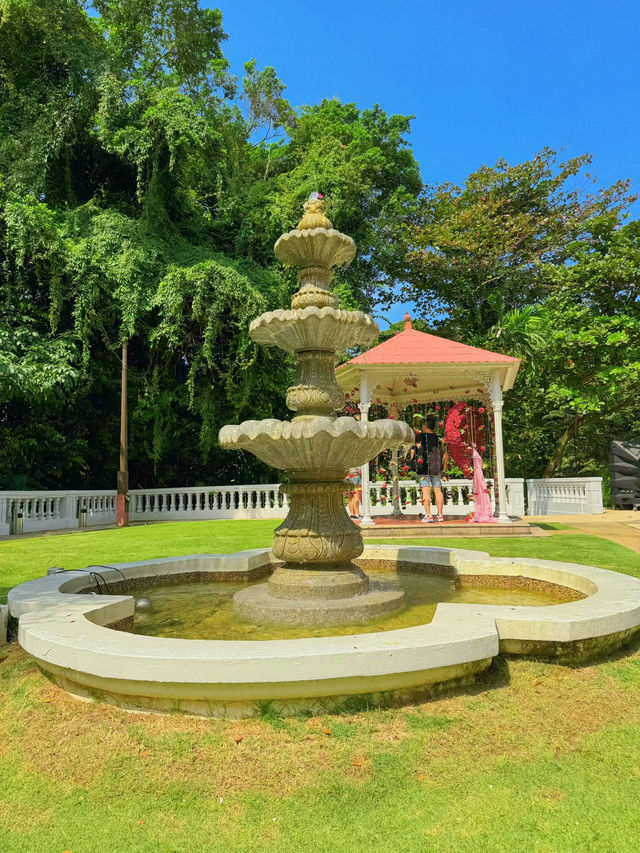 🌿 百年洋房里的唯美花园咖啡馆 | 新加坡浪漫餐饮体验