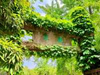 Second Best Spring Under Heaven: A Famed Water Feature