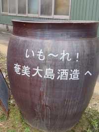 「奄美大島酒造 浜千鳥館｜黒糖焼酎の奥深さに触れる特別な時間」