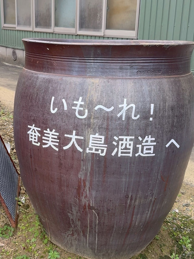 「奄美大島酒造 浜千鳥館｜黒糖焼酎の奥深さに触れる特別な時間」