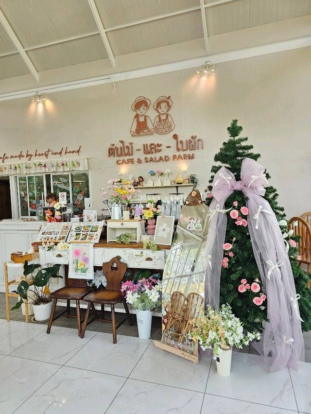 ต้นไม้และใบผัก คาเฟ่ | อัมพวา