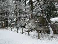 Winter Serenity at Matsushiro Castle