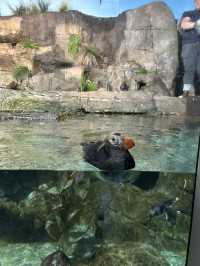 Monterey Bay Aquarium