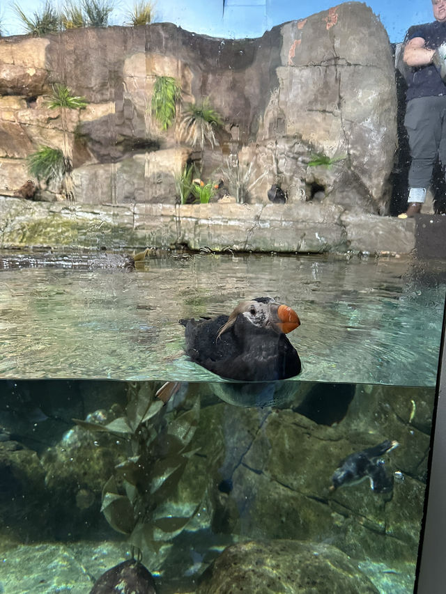 Monterey Bay Aquarium