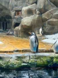 Ocean Park Hong Kong