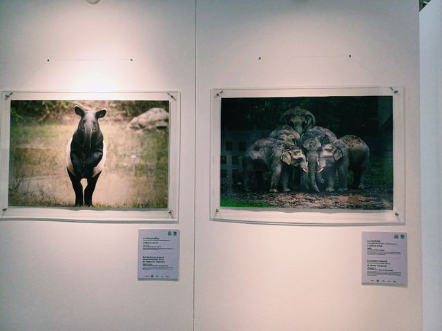 泰國曼谷市中心著名藝術展覽美術館景點：曼谷文化藝術中心 ，適合打卡拍照📸