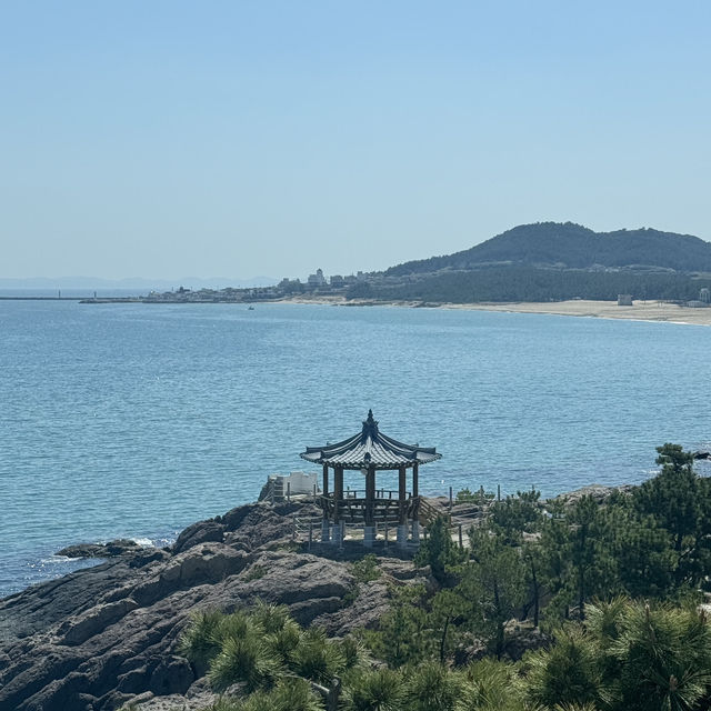 포항 바다 근처 카페 포토 스팟 추천 ▪️오딘
