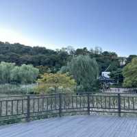 【ソウル】🇰🇷 ボラメ公園