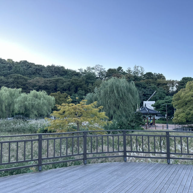 【ソウル】🇰🇷 ボラメ公園