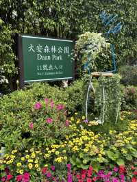 大安站一日遊：都市與自然的完美交織🚉🌳