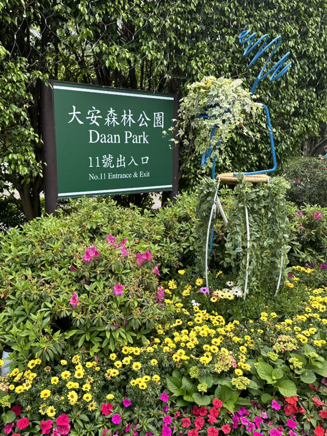 大安站一日遊：都市與自然的完美交織🚉🌳